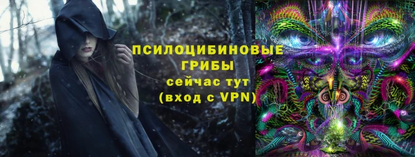 ALPHA PVP Новодвинск