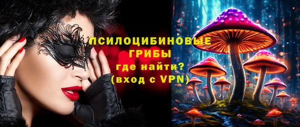 ПСИЛОЦИБИНОВЫЕ ГРИБЫ Абинск