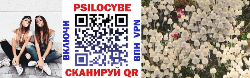 мега сайт  Одинцово  Псилоцибиновые грибы Cubensis 